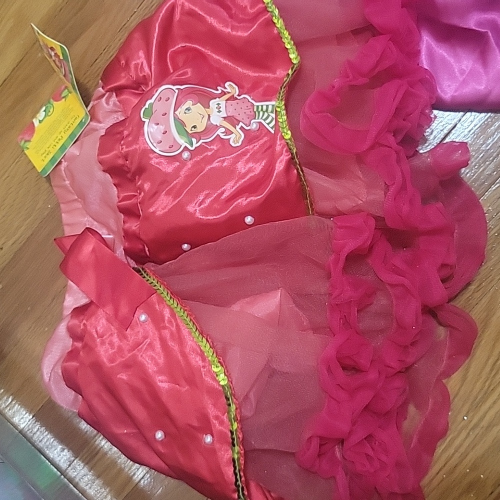 Kids Dress Up Clothing
